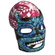 Skin's image
