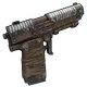Skin's image