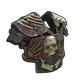 Skin's image