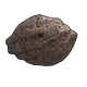 Skin's image