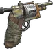 Skin's image