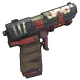 Skin's image