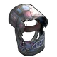 Skin's image