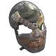 Skin's image