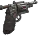 Skin's image