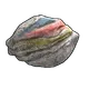 Skin's image