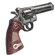 Skin's image