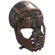 Skin's image