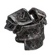 Skin's image