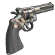 Skin's image