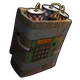 Skin's image