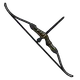 Skin's image