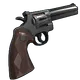 Skin's image