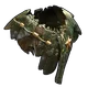 Skin's image