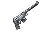 Skin's image
