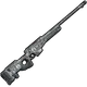 Skin's image