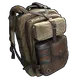 Skin's image