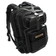 Skin's image