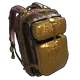 Skin's image