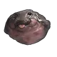 Skin's image