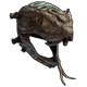 Skin's image