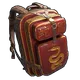 Skin's image
