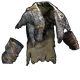 Skin's image