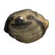 Skin's image
