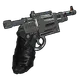 Skin's image