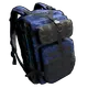 Skin's image