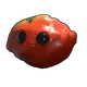 Skin's image