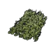 Skin's image