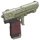 Skin's image