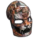 Skin's image