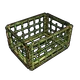 Skin's image