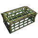 Skin's image