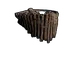 Skin's image