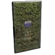 Skin's image