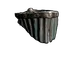 Skin's image