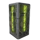 Skin's image