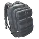 Skin's image