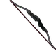 Skin's image