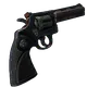 Skin's image