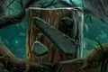 Skin's image