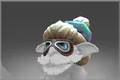 Skin's image