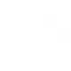 Skin's image