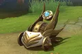 Skin's image
