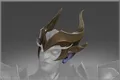 Skin's image