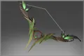 Skin's image