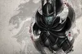 Skin's image